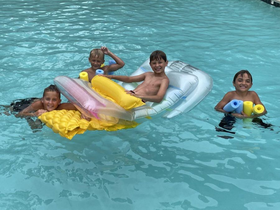 Pool+Security....Alas%2C+the+little+Charlies+took+a+quick+swim%2C+or+did+they%3F