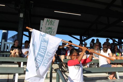 The Mini Mimes Scrapbook from THEJOE-RIverDogs on June 26, 2022